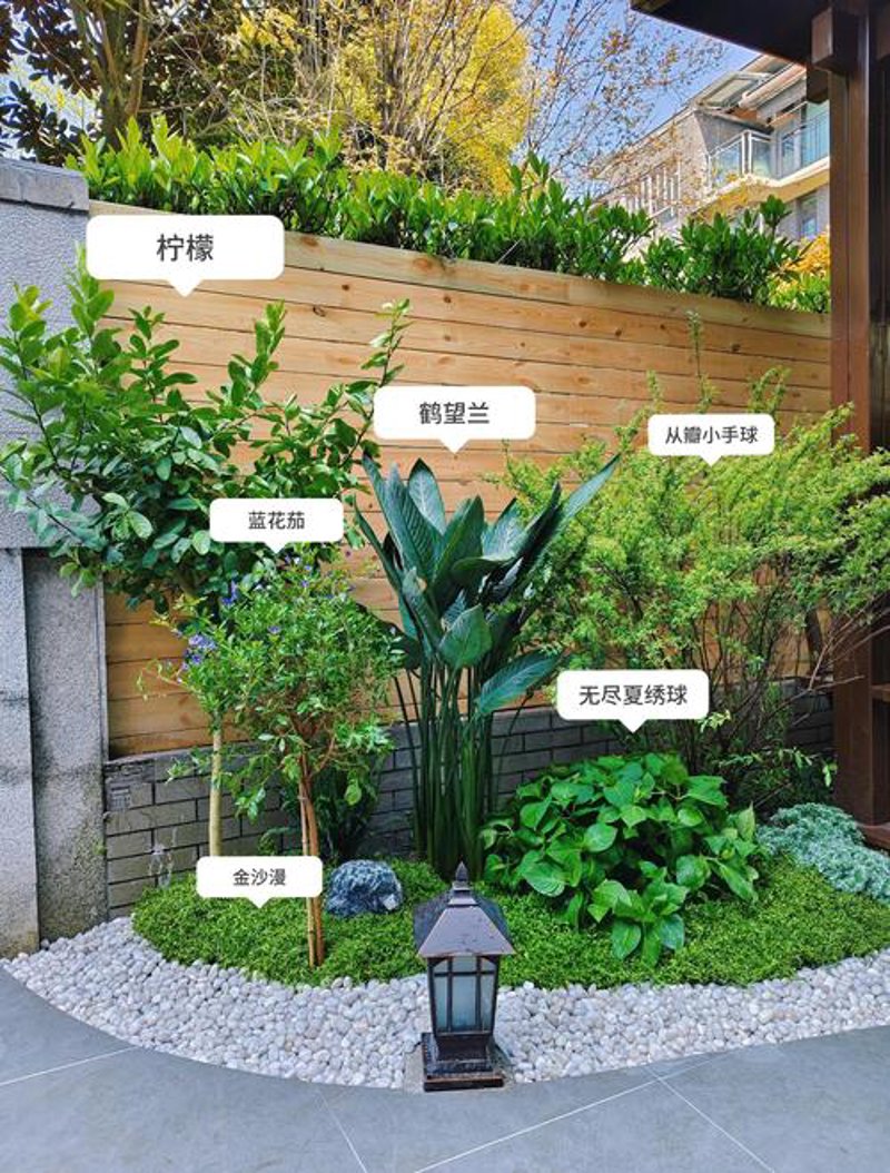 公园绿化工程：绿色城市的未来使者