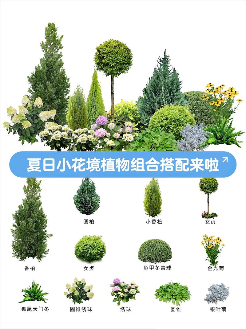 打造宜居小区：景观施工常见问答