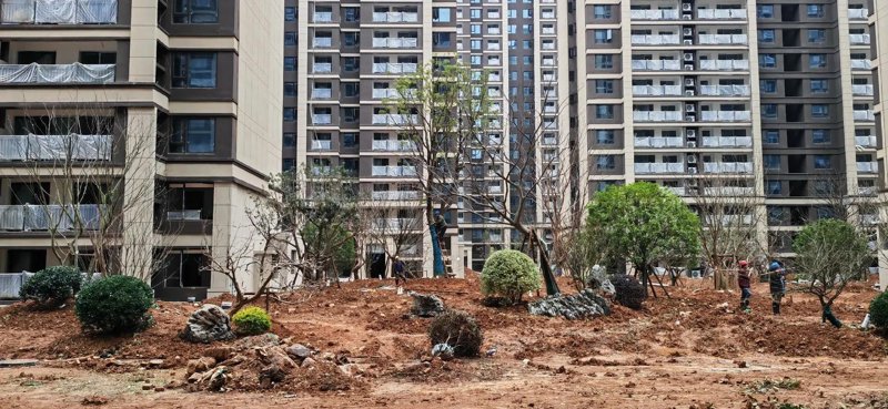 城市绿肺：公园绿化工程案例分析